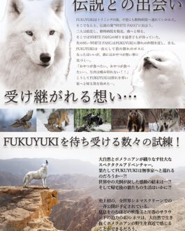 うちの子映画ポスター<br>（野生のポメラニアン）