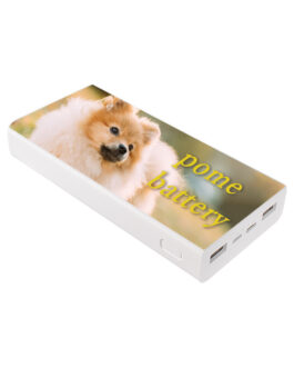 ポメバッテリー