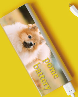 ポメバッテリー