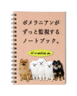 ポメラニアンが監視するノートブック。