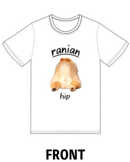 ポメT（ケッツ）